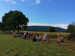 223522170 179582154222370 5975084582377667825 n