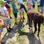 484075270 9561734397253921 82836761057246667 n