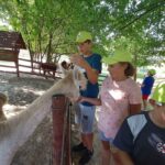 484121322 9561734367253924 5481126488510270828 n