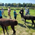 484131510 9561734400587254 2201366447433000272 n