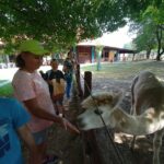 484355451 9561734420587252 4977311408245338155 n