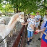 484438122 9561734430587251 6074080430917109752 n