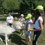 484526466 9561734440587250 8988761931642270412 n