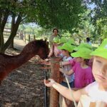 484926761 9561734213920606 7250721858306301722 n