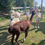 484964577 9561734410587253 4092807716687812330 n