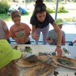 487240677 9213171925458601 4609564870344399954 n