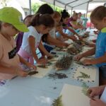 487240782 9213171842125276 3364496001638867742 n