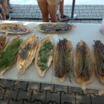 487300950 9213171578791969 5218755854141151845 n