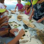 487742223 9213171972125263 5861986323455655175 n