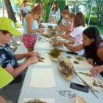 487757113 9213171962125264 1327063845603523888 n