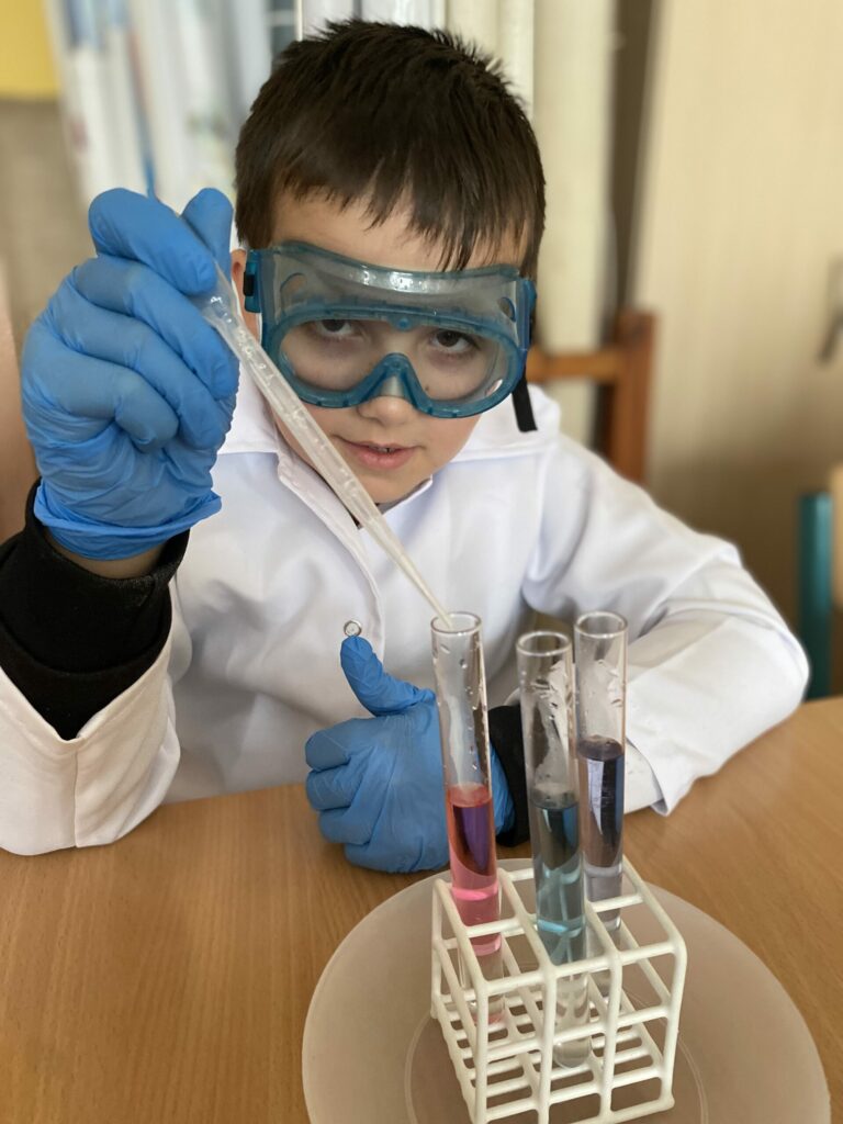 255cd209 636f 4a70 b132 d026a63b6d23 scaled