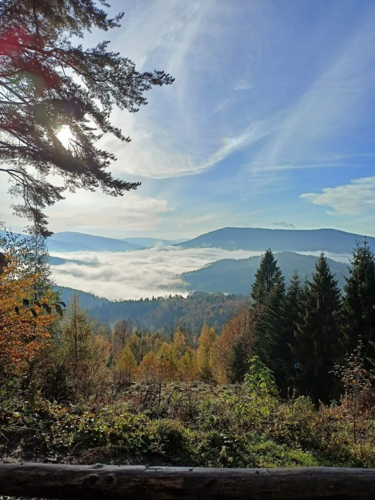 470168076 569103922488186 8469833683648893353 n