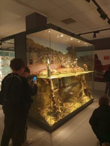 470195671 569095405822371 12470323260620526 n