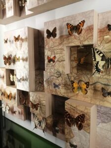 470196624 569094965822415 3868062708711046692 n