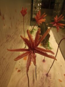 470201546 569095402489038 4086484778001612612 n