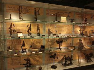 470230572 569095379155707 8263773744235042513 n