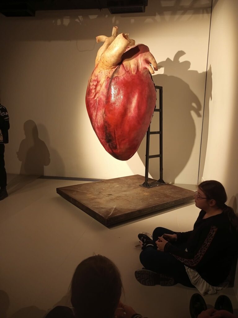 470249027 571848942213684 6806260969651072801 n