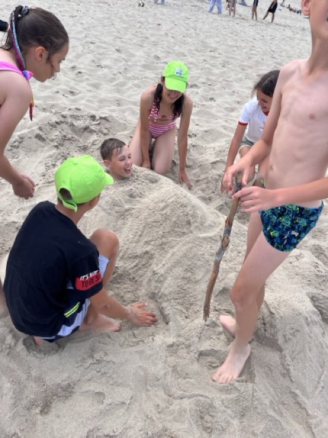 Kolonia Jastrzębia Góra 2025r. 0989 Średni