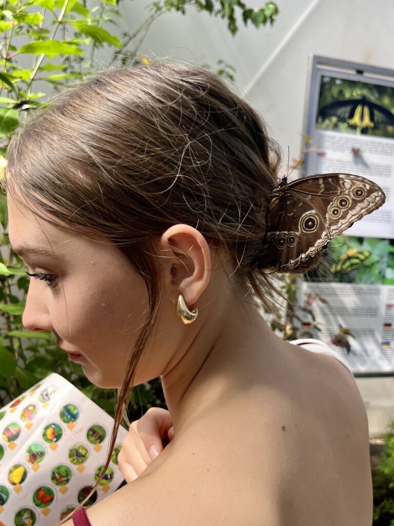 Kolonia Jastrzębia Góra 2025r. 1338