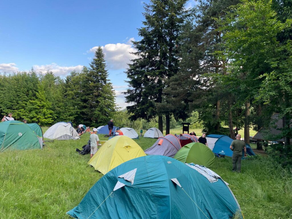 503644348 705467365518507 4737916924817365514 n