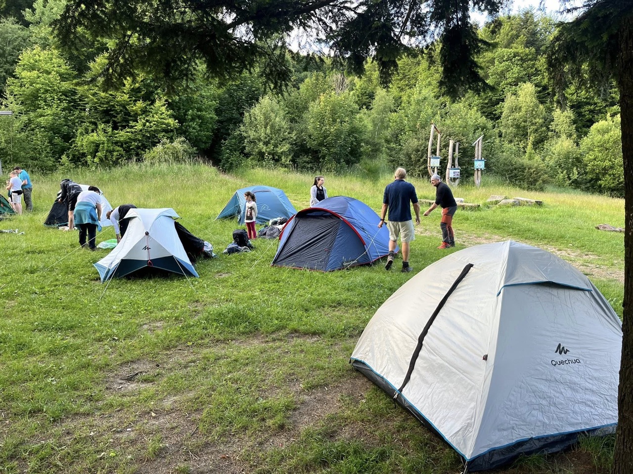 Leśna przygoda! 510572378 705467335518510 2806232974644681218 n duży