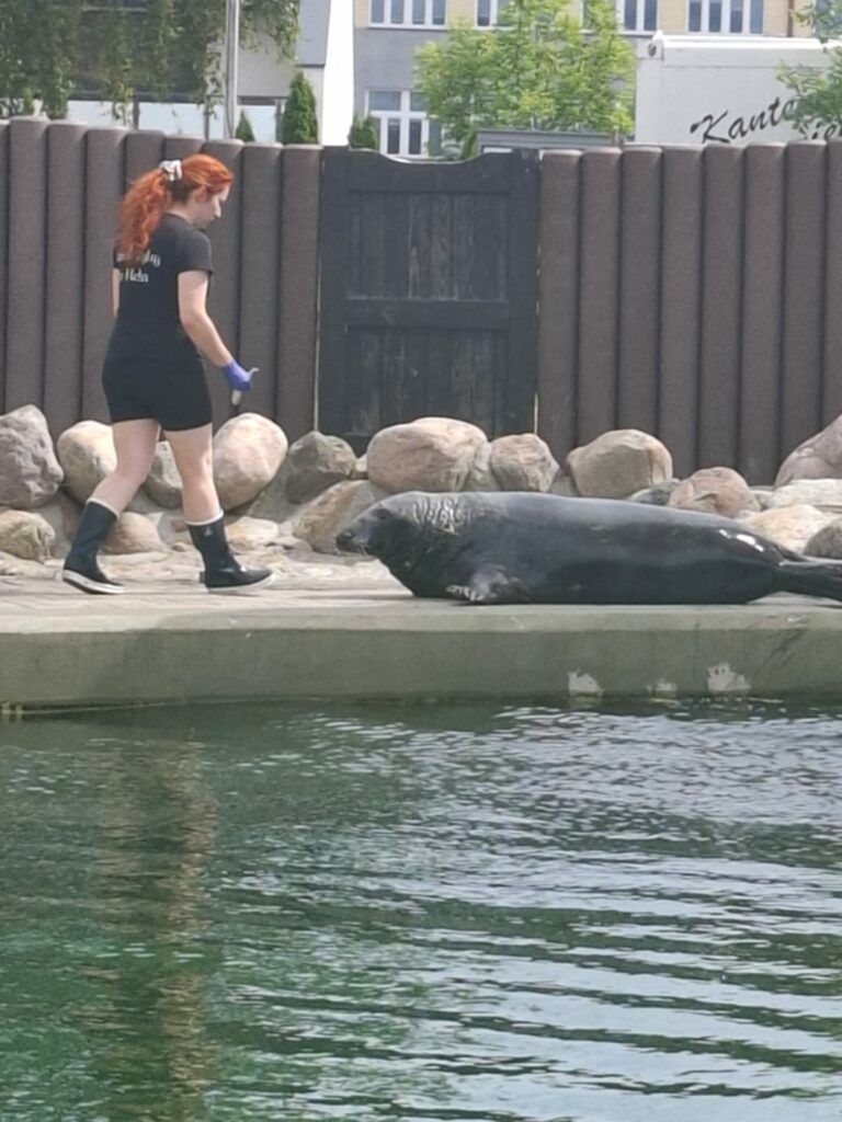 Kolonia Jastrzębia Góra 2025r. fokarium