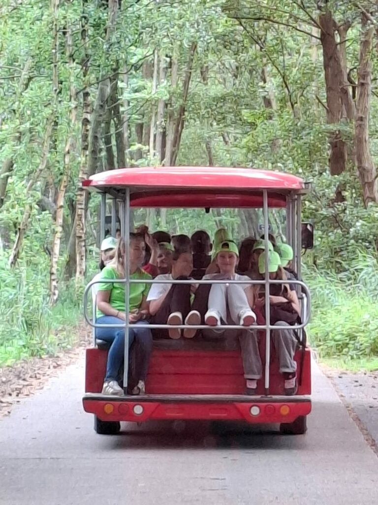 Kolonia Jastrzębia Góra 2025r. photo 2025 07 05 22 35 17